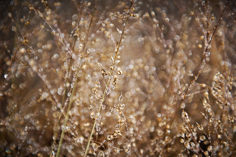 Droplets 33