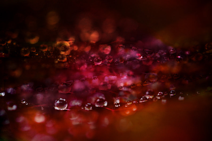 Droplets 41