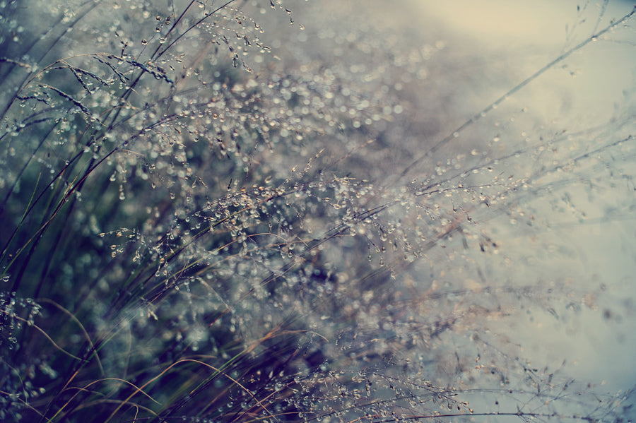 Droplets 47