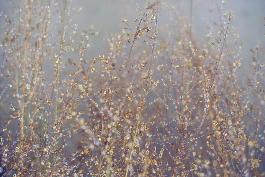 Droplets 4