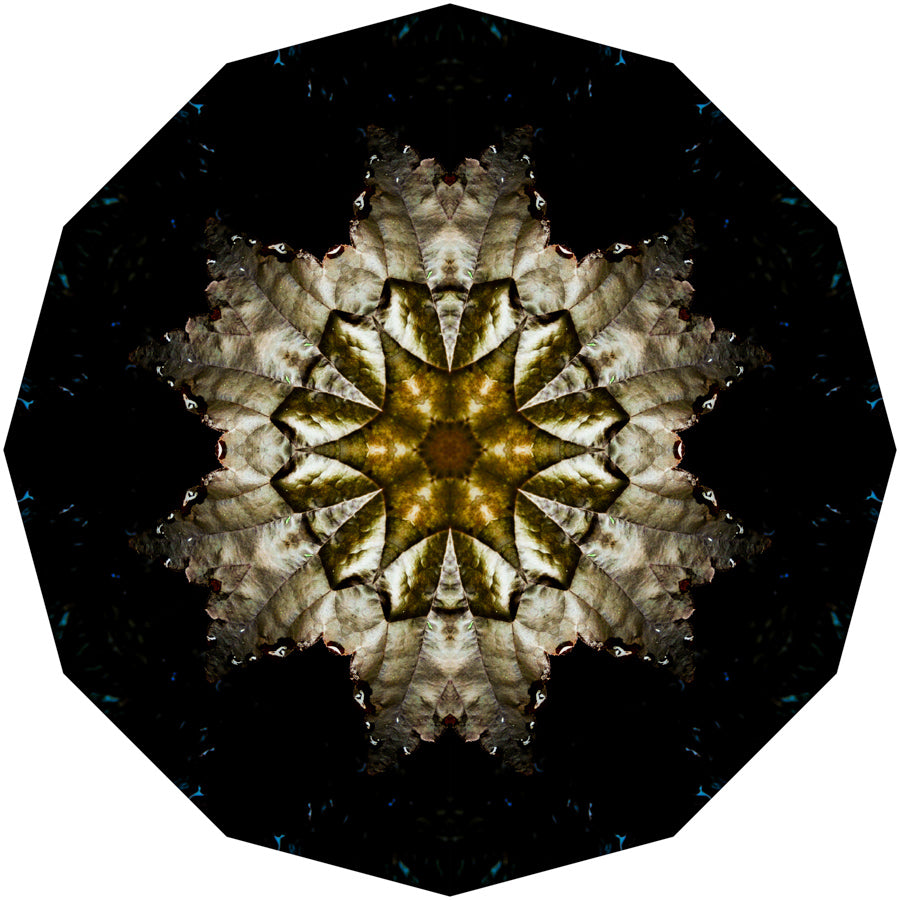 Kaleidoscope 11