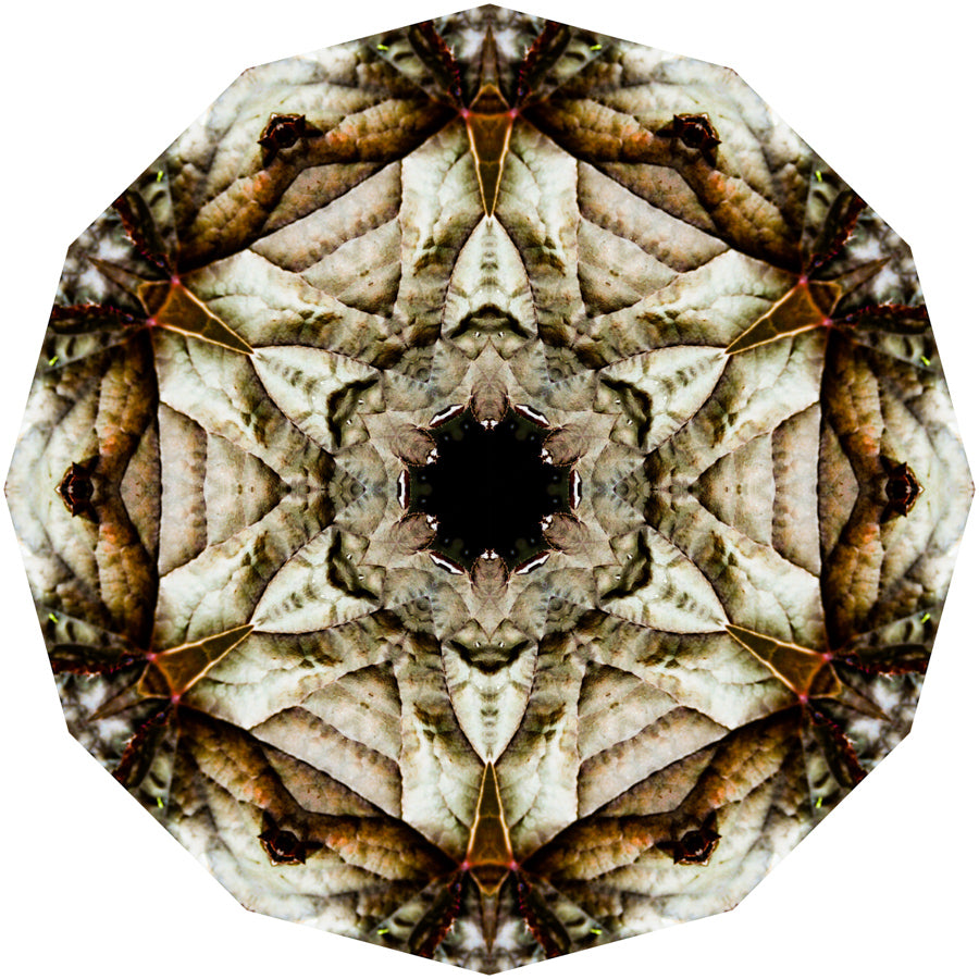 Kaleidoscope 13