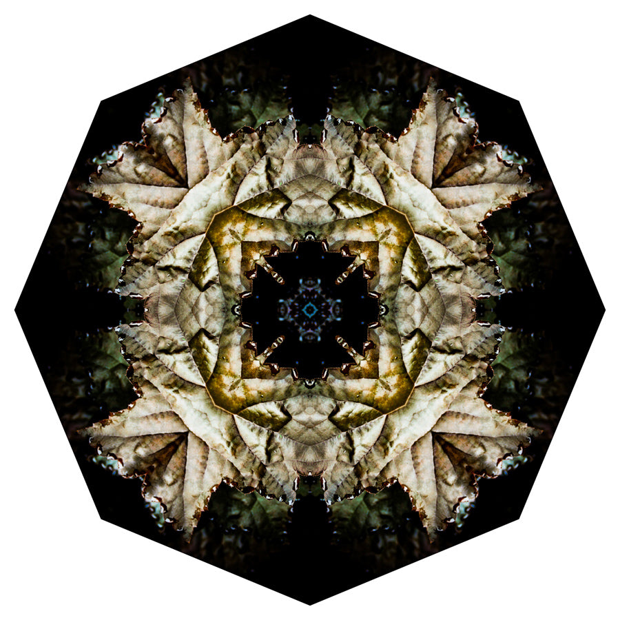 Kaleidoscope 14