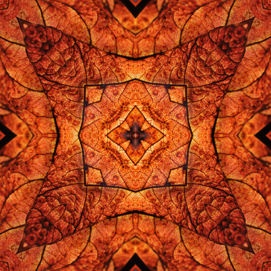 Kaleidoscope 16