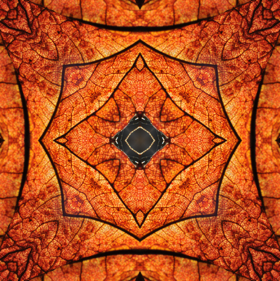 Kaleidoscope 17