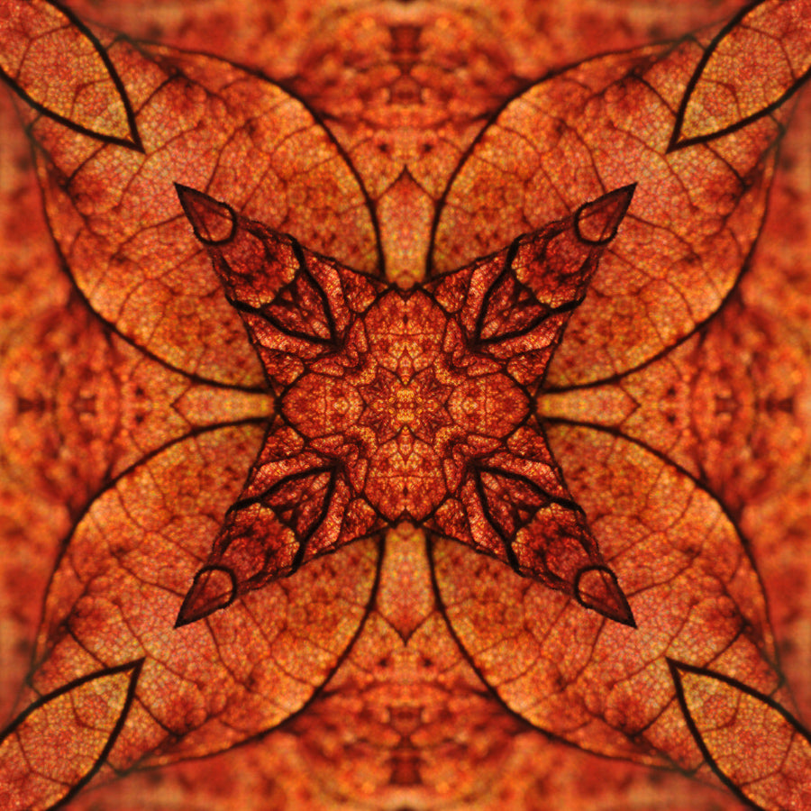 Kaleidoscope 18