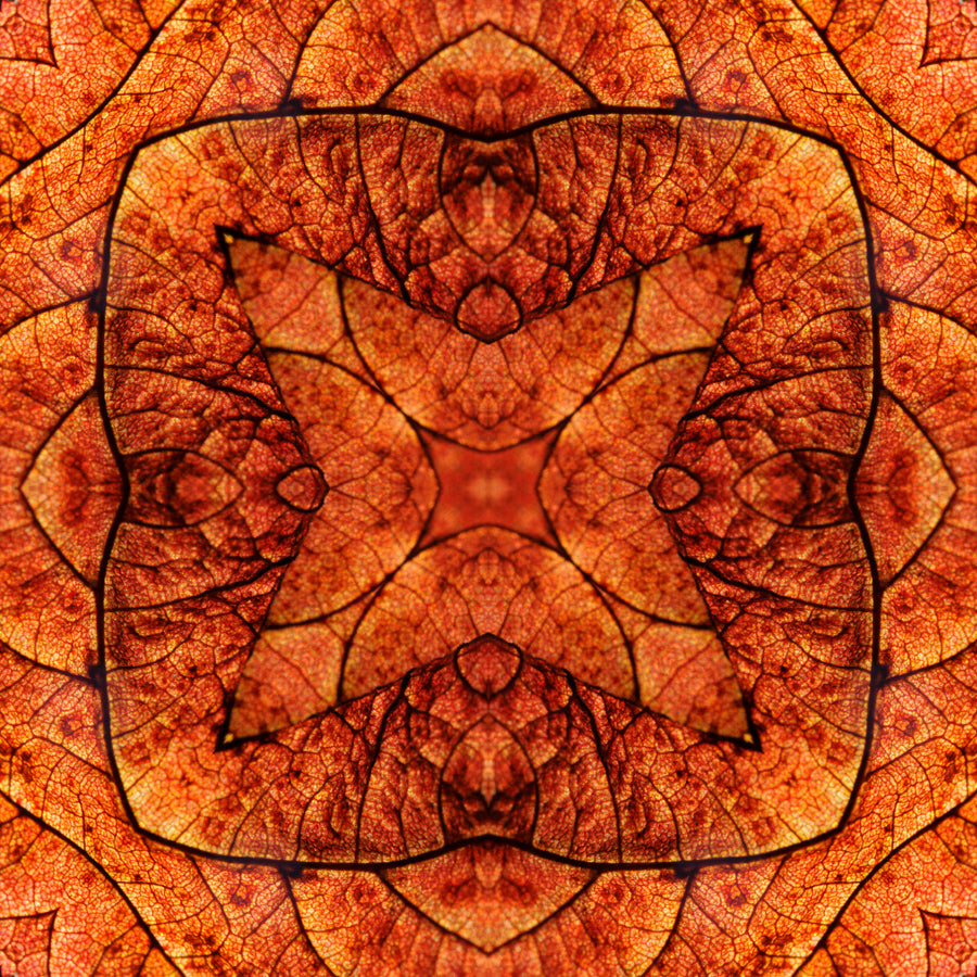 Kaleidoscope 19