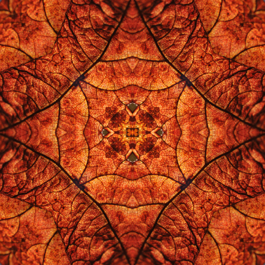 Kaleidoscope 20