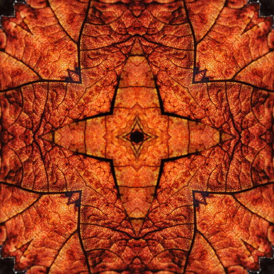 Kaleidoscope 21