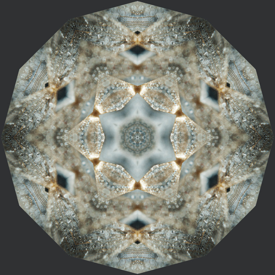 Kaleidoscope 22