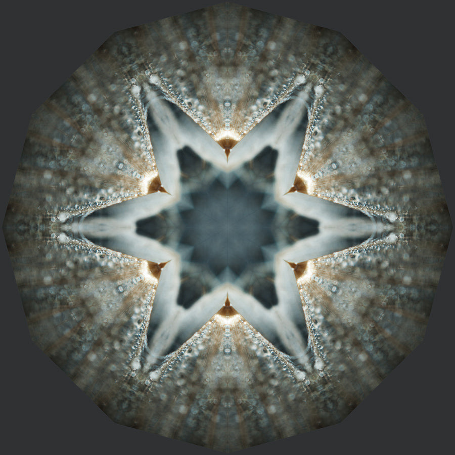Kaleidoscope 25