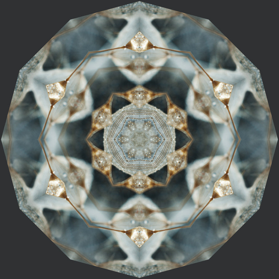 Kaleidoscope 28