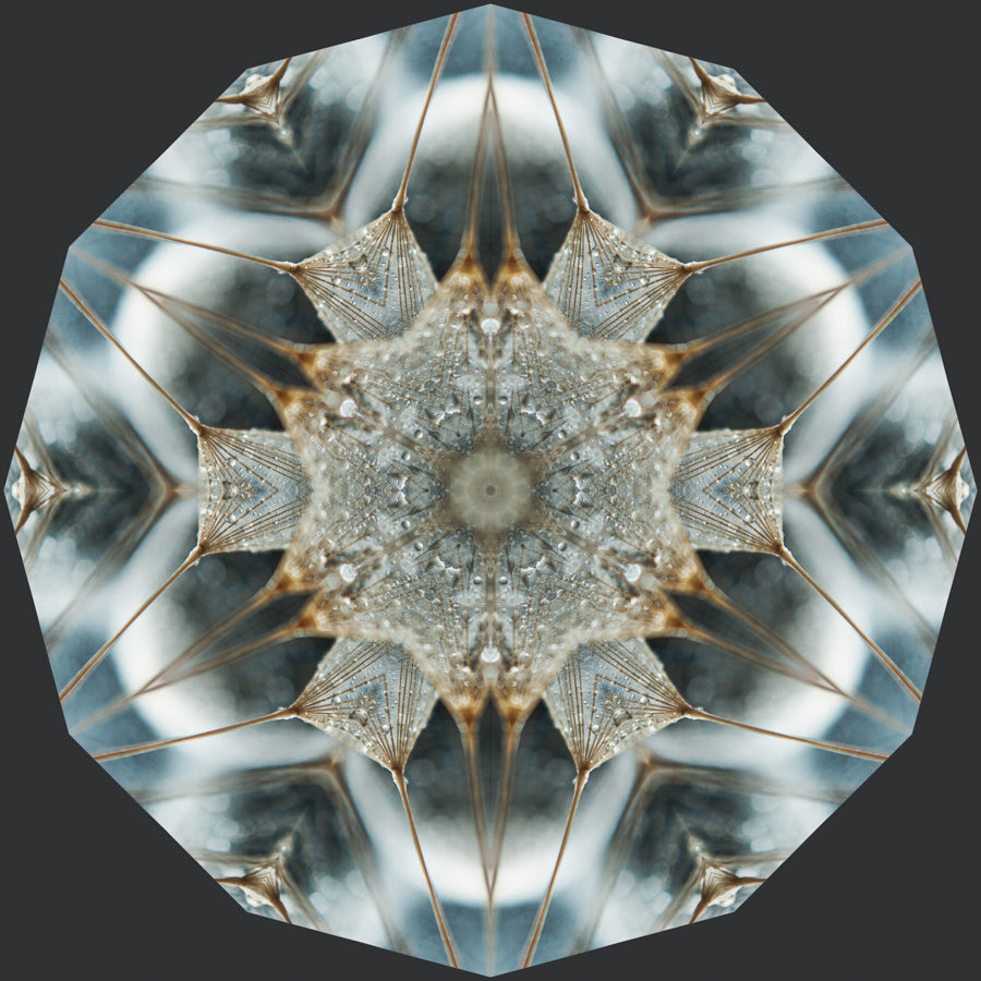 Kaleidoscope 29