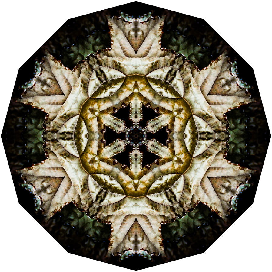 Kaleidoscope 2