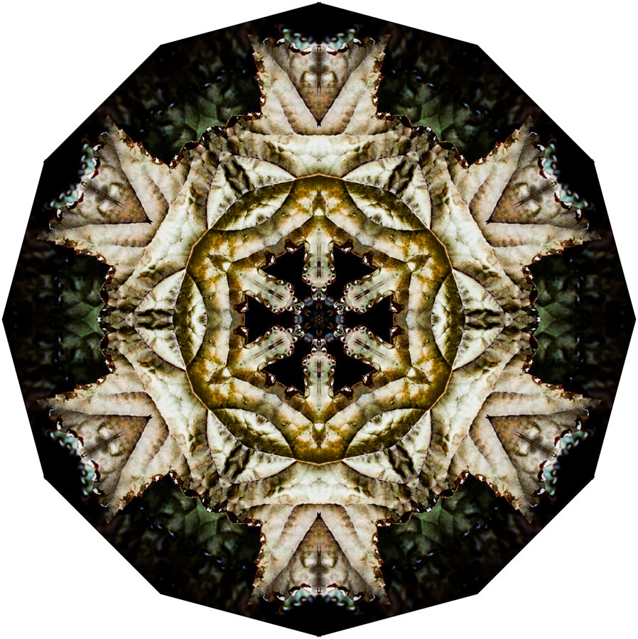 Kaleidoscope 2
