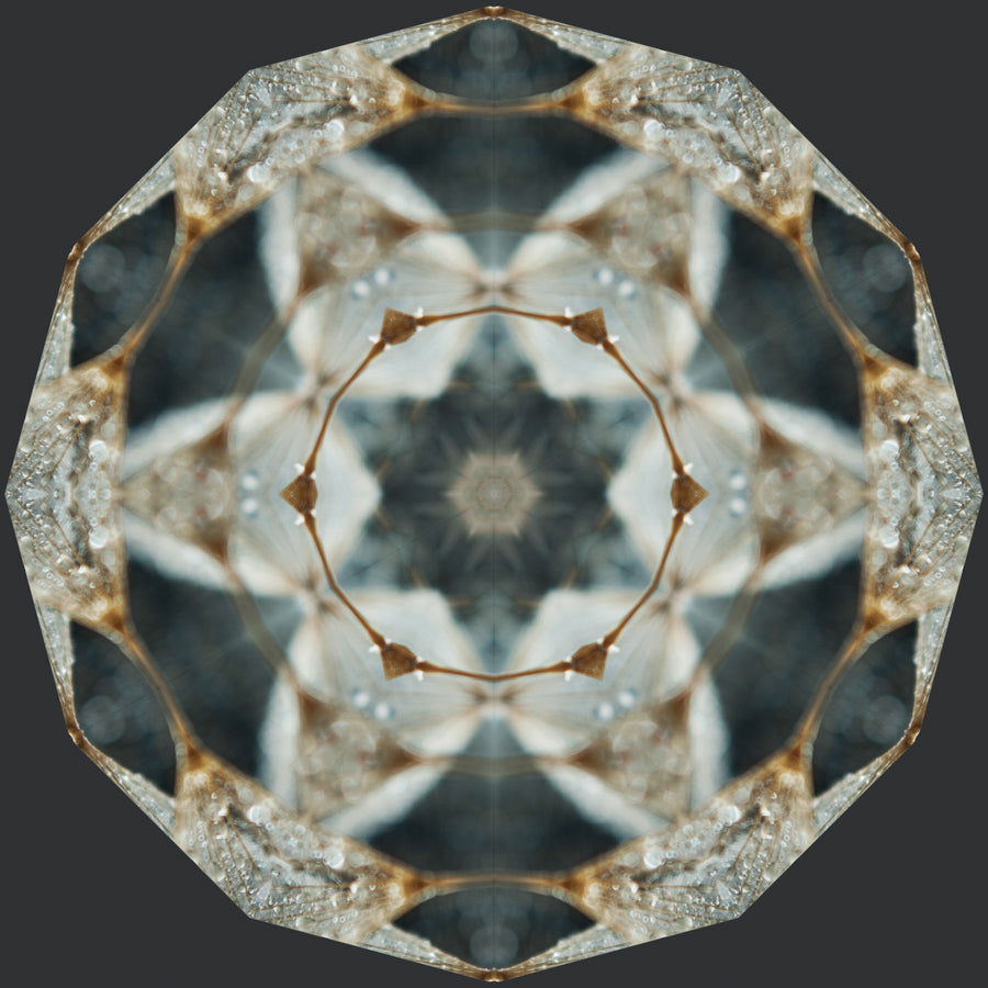 Kaleidoscope 31