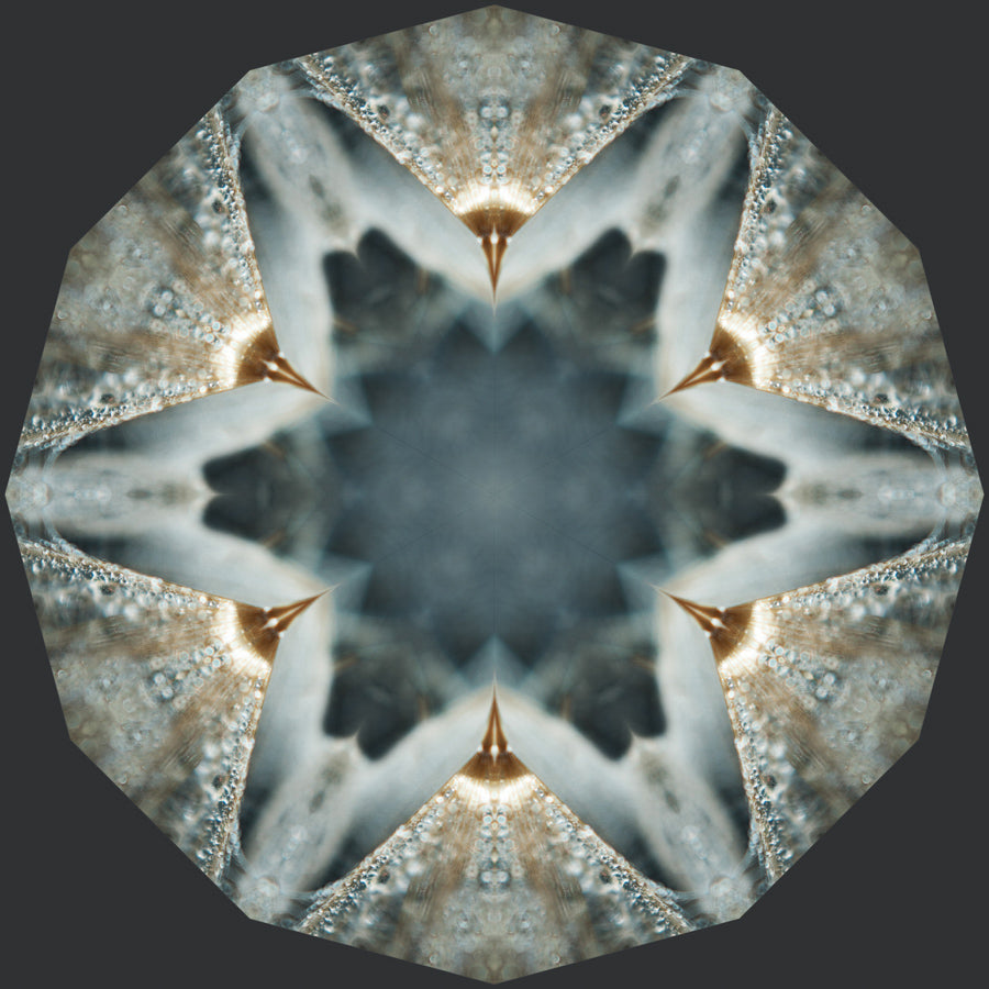 Kaleidoscope 32