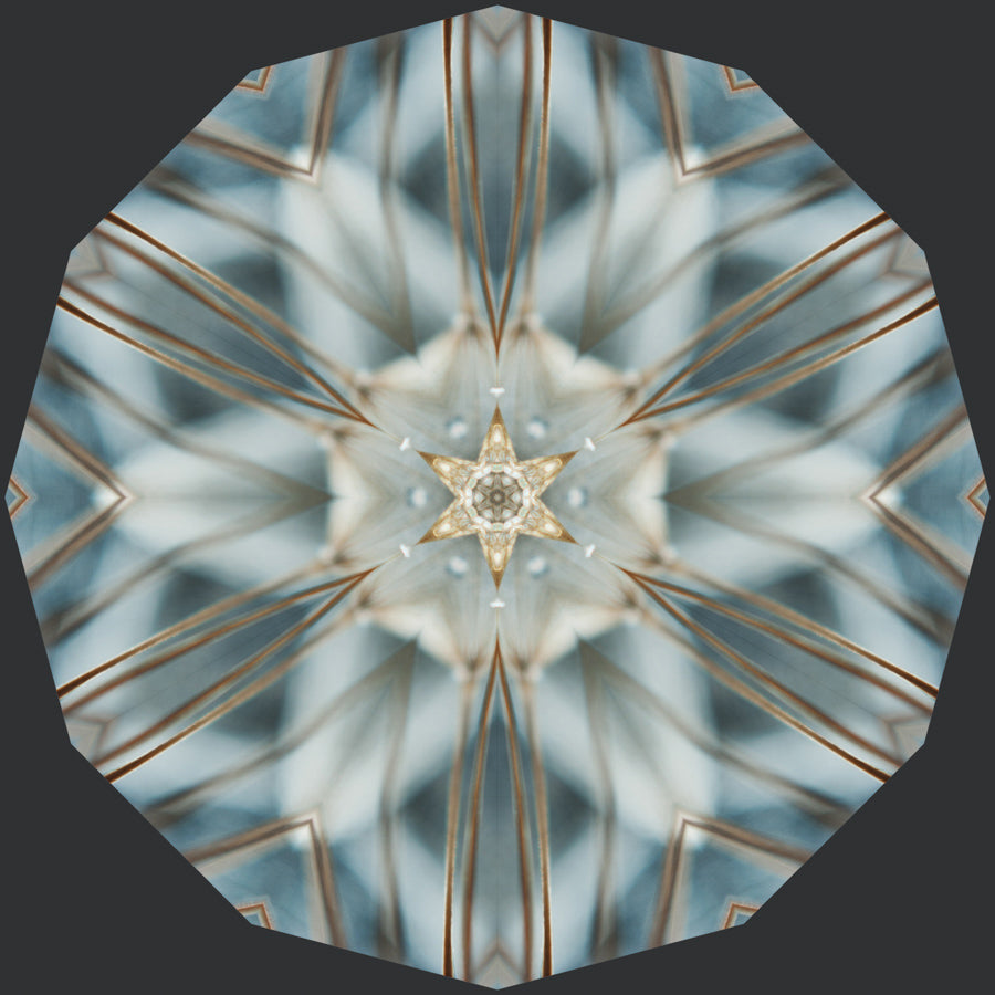 Kaleidoscope 33