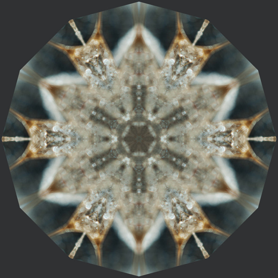 Kaleidoscope 37
