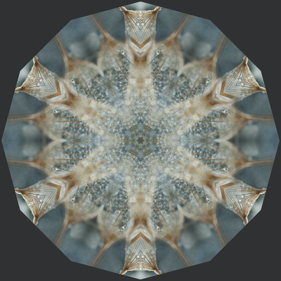 Kaleidoscope 41
