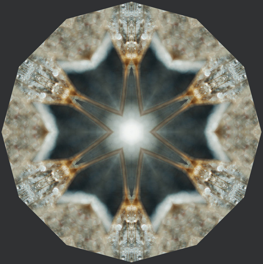 Kaleidoscope 46