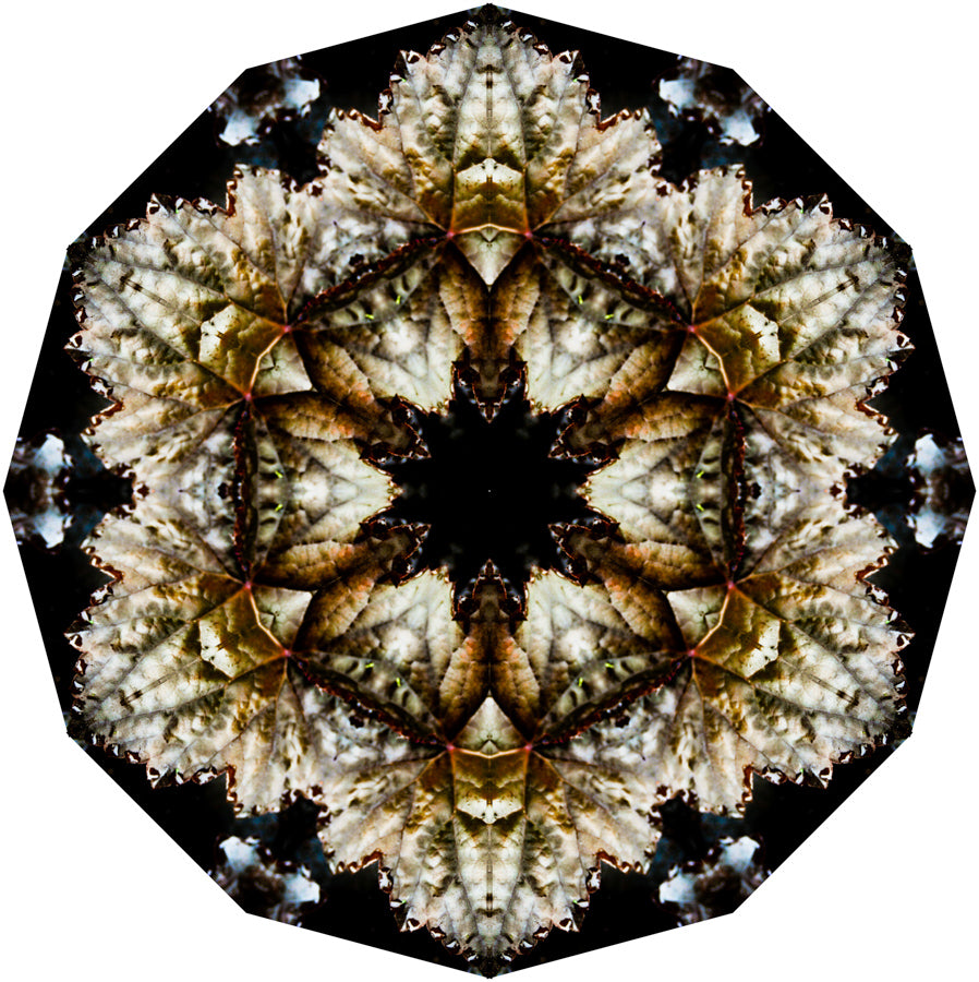 Kaleidoscope 4