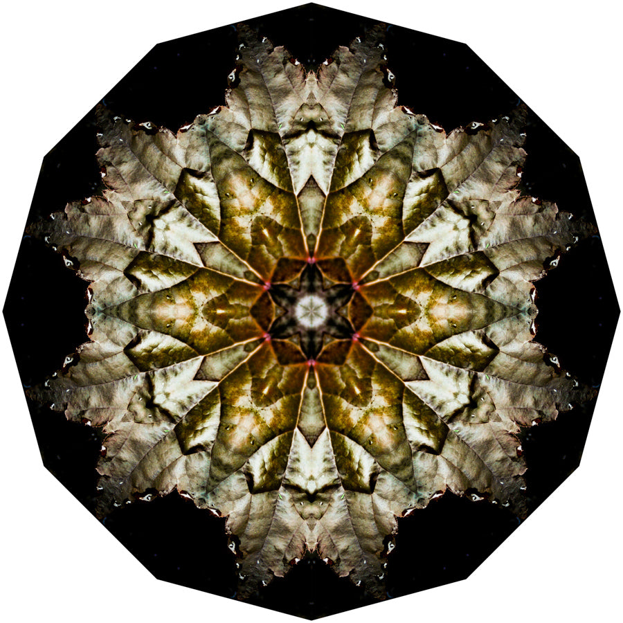 Kaleidoscope 5