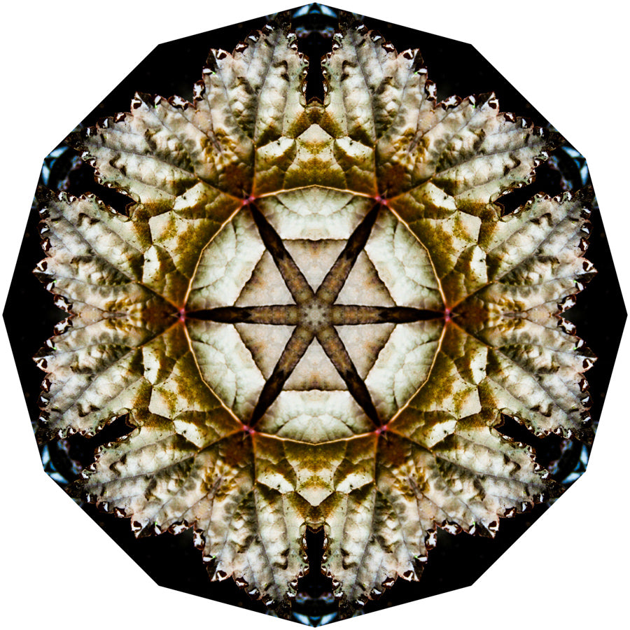 Kaleidoscope 6