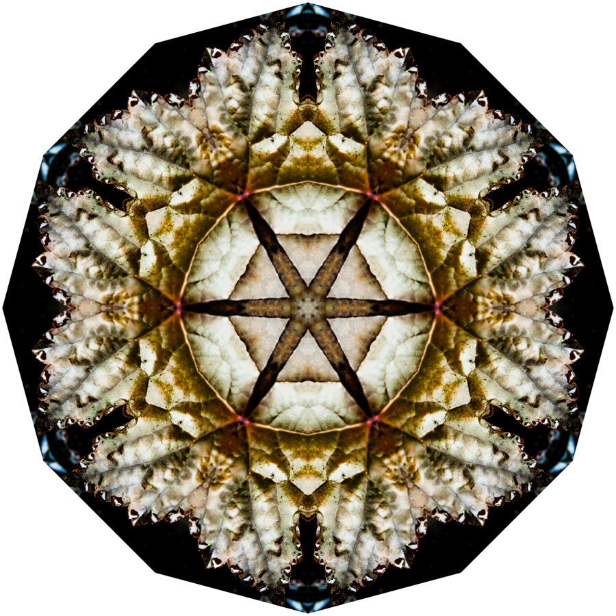 Kaleidoscope 6