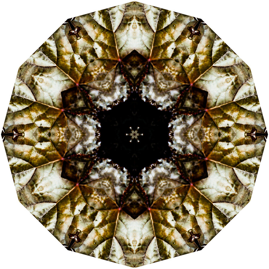 Kaleidoscope 8