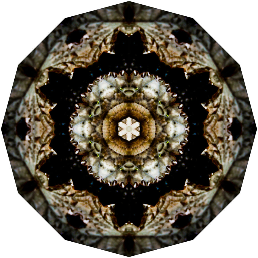 Kaleidoscope 9