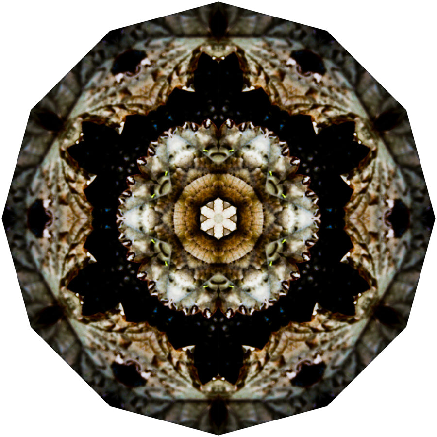 Kaleidoscope 9