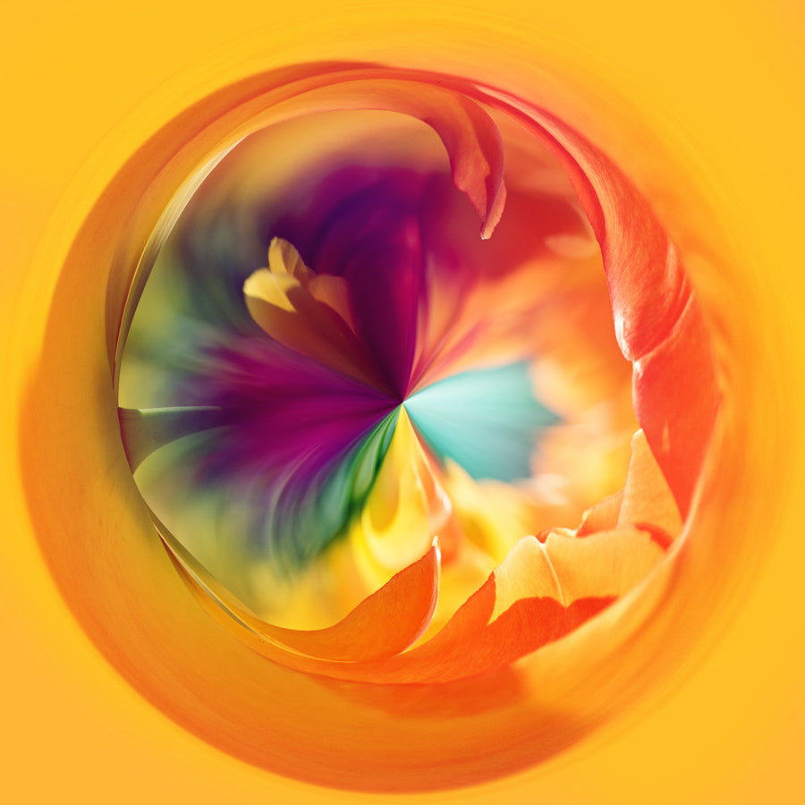 Swirls 72