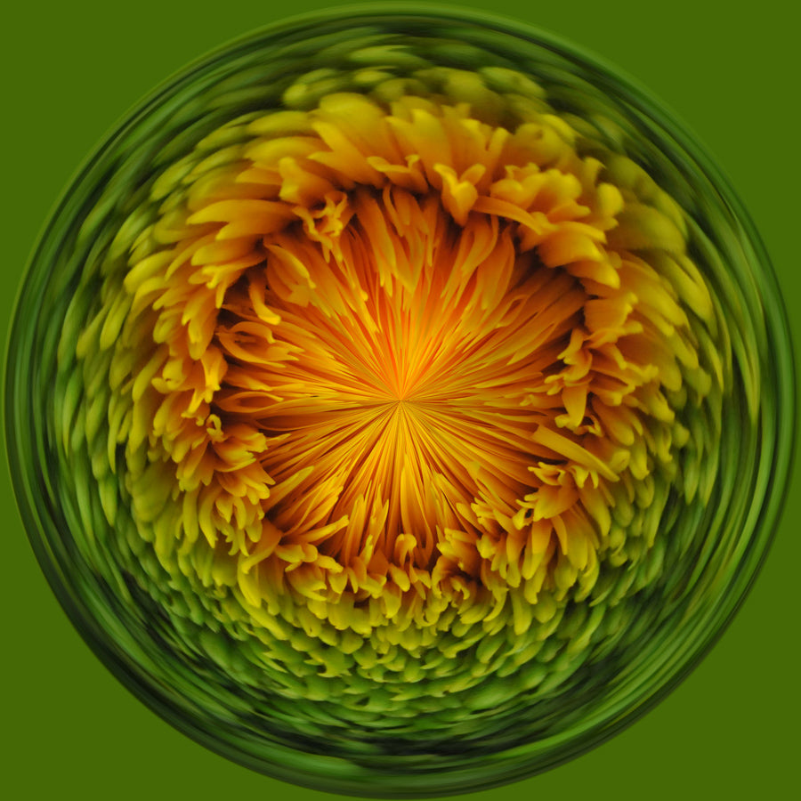 Swirls 8