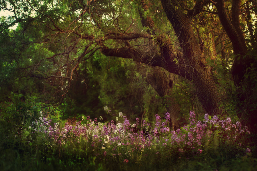 Summer Flowers 60