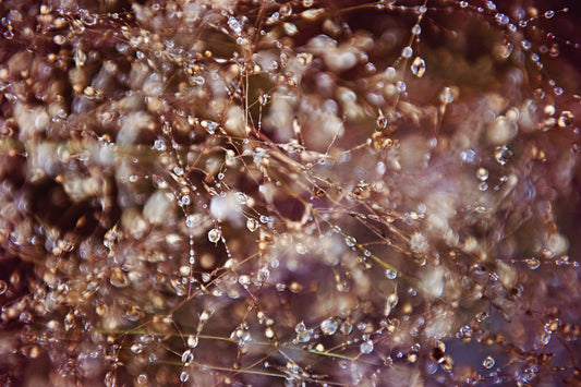 Droplets 10