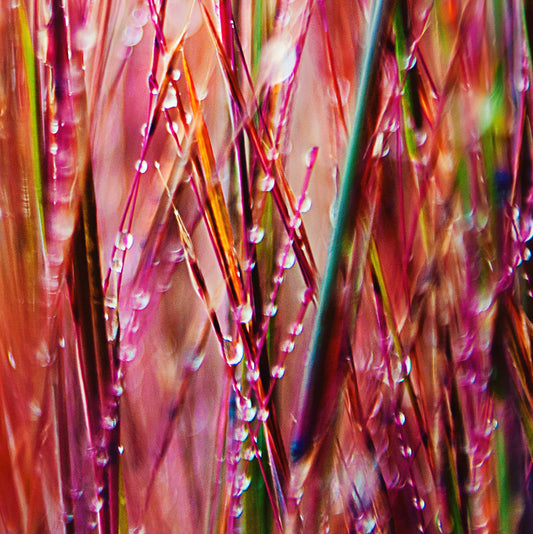 Droplets 14