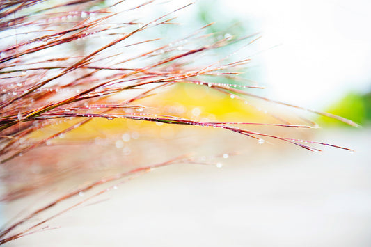 Droplets 15