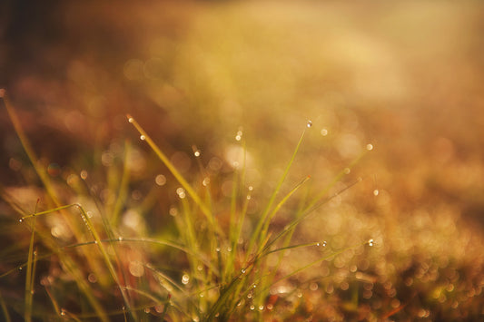 Droplets 25