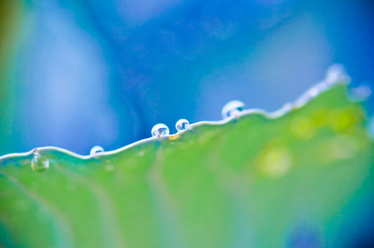 Droplets 29