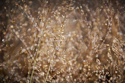 Droplets 33