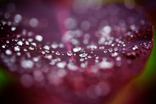 Droplets 34