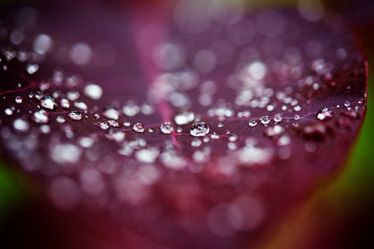 Droplets 34