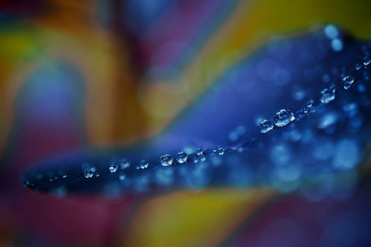 Droplets 36