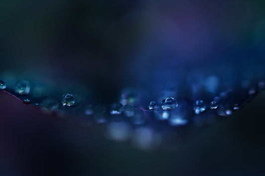 Droplets 37