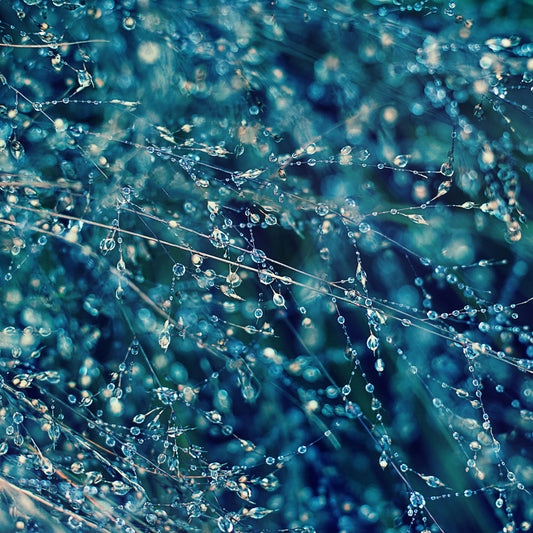 Droplets 3
