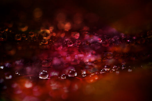 Droplets 41