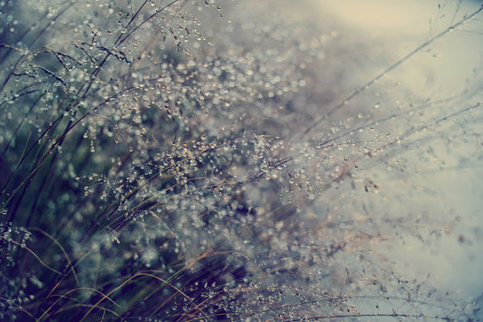 Droplets 47