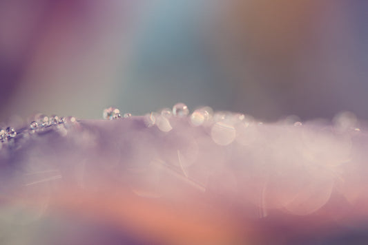 Droplets 51