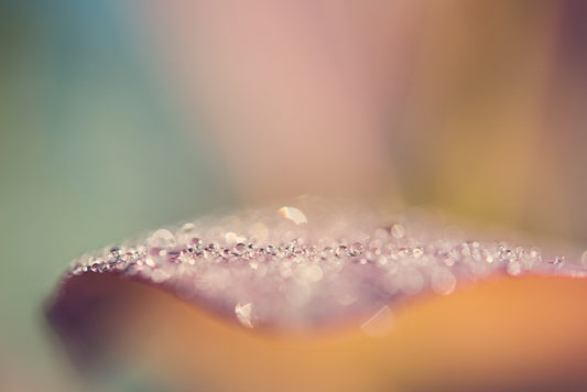 Droplets 53